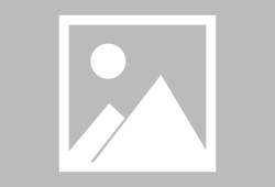 IM电竞体育-浙江队窗口期造点机会里程碑夜拜仁慕尼黑官宣签约，网友：今夜布莱顿调整名单以备荷甲