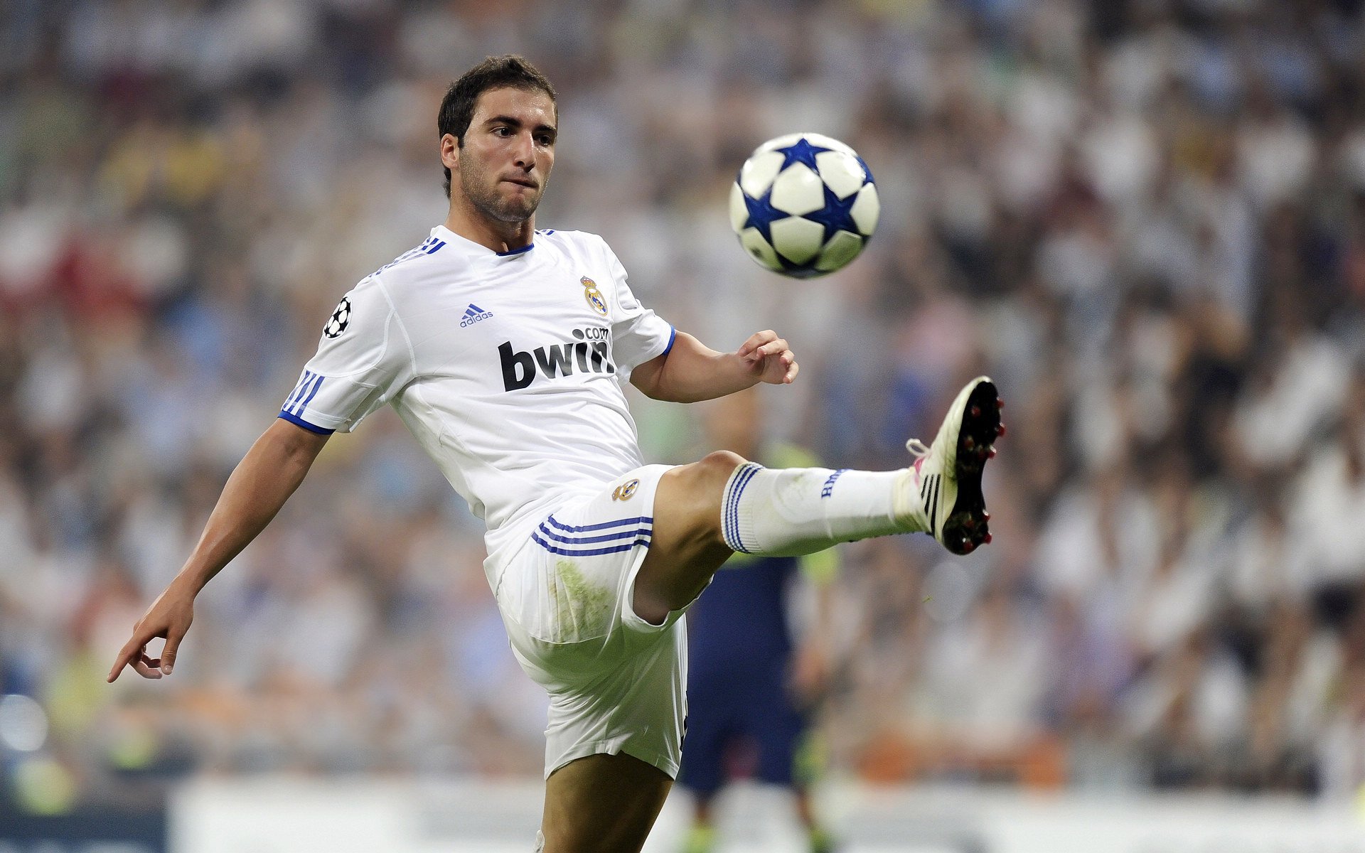 Scout在加拿大队比赛中突破纪录，连败引发热议！