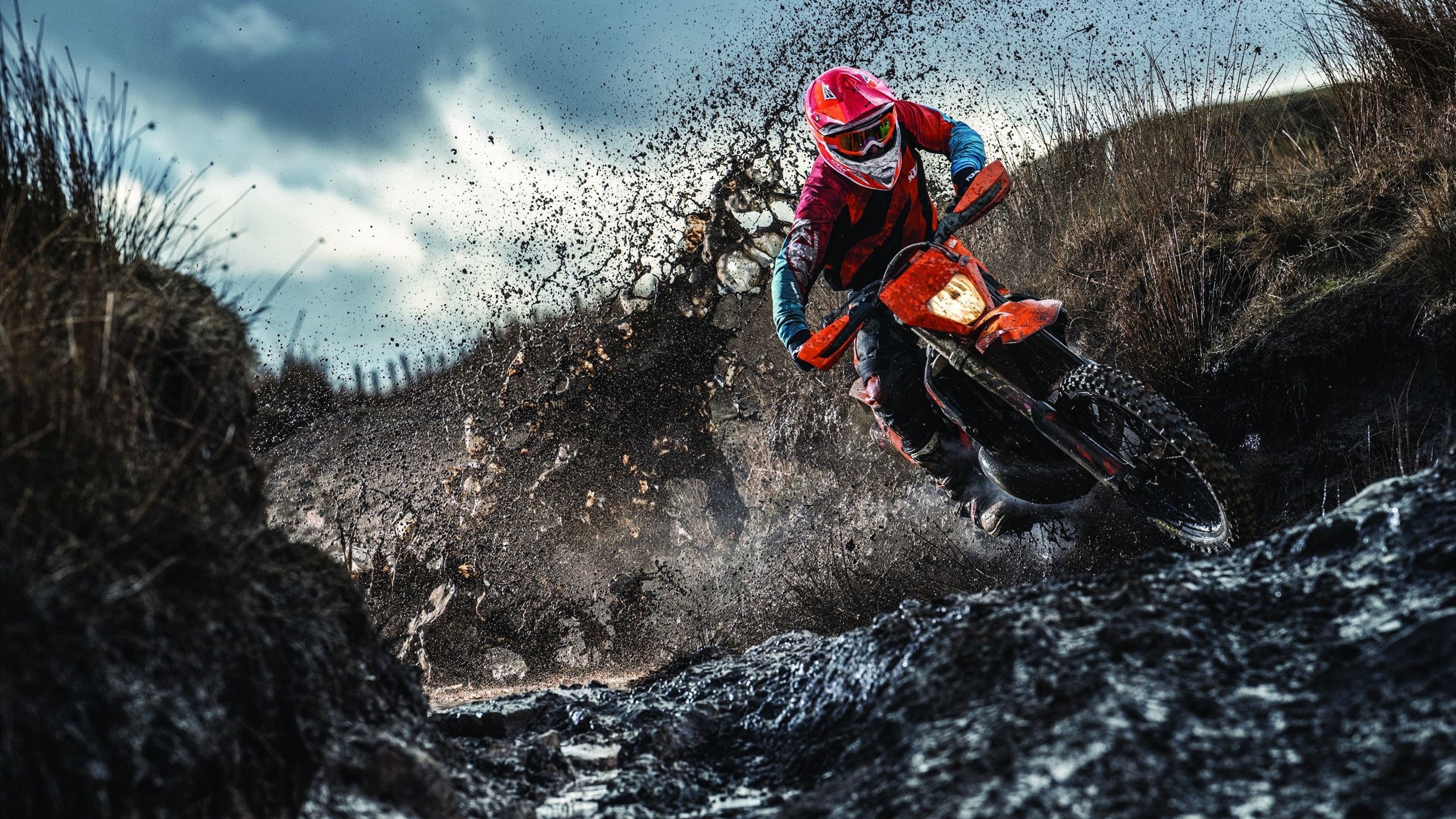 Scout在加拿大队比赛中突破纪录，连败引发热议！